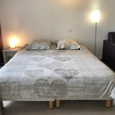 100 M Gare - 4 Places Avec Balcon 10mn Sanctuaire Λούρδη